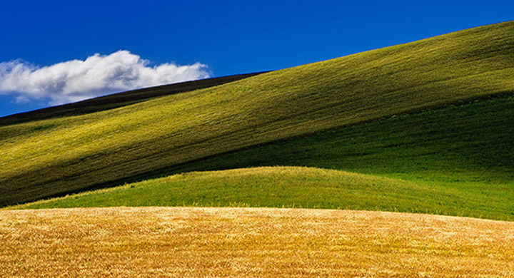 PRODOTTI TIPICI LUCANI